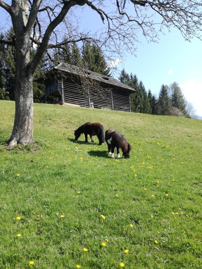Haus Oswald Am See Hermagor-Pressegger See Exteriér fotografie